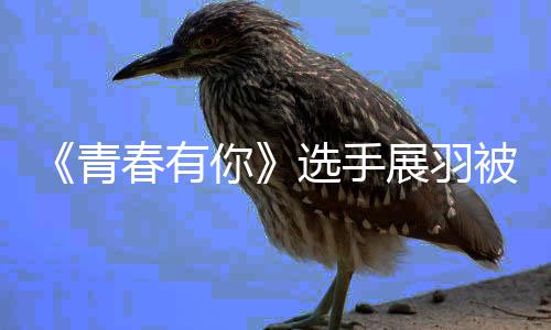 你展羽 展被曝暴事末最羽家应家暴件始选手新回青春有