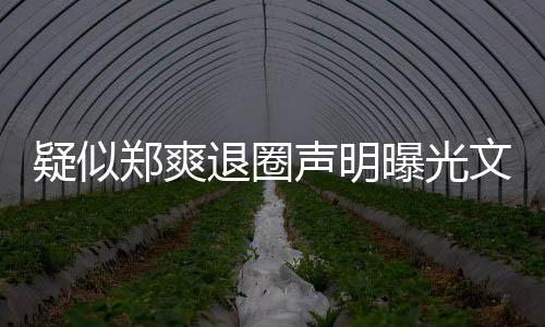 文字我不曝光郑爽容版内疑似意的退圈声明是故