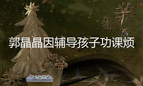 陪家孩子 霍郭晶功课人应酬晶因减少辅导烦躁启刚